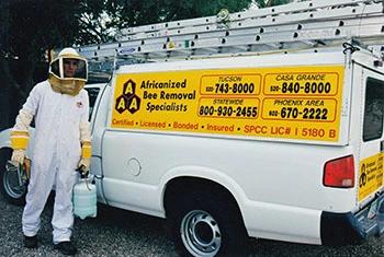 Marana bee removal service truck and employee